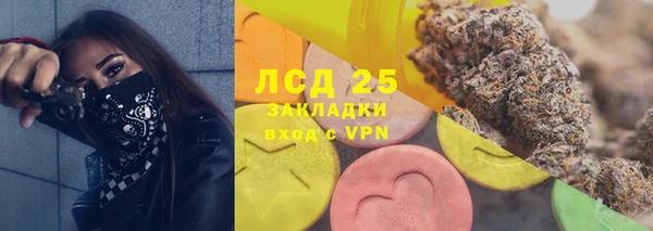 дживик Богородицк