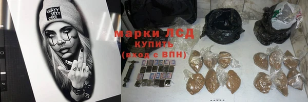 тгк Богданович
