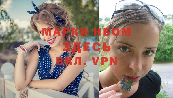 тгк Богданович