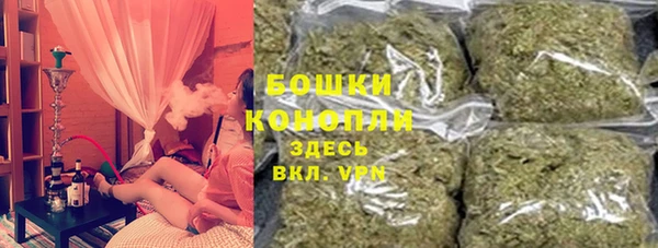 дживик Богородицк