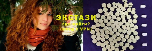дживик Богородицк